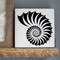 Nautilus Shell Embossing 12 x 12 Stencil | FS067 by Designer Stencils | Reusable Stencils for Painting |